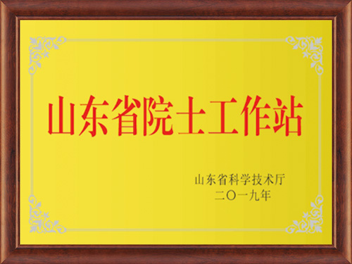 山東省院士工作站